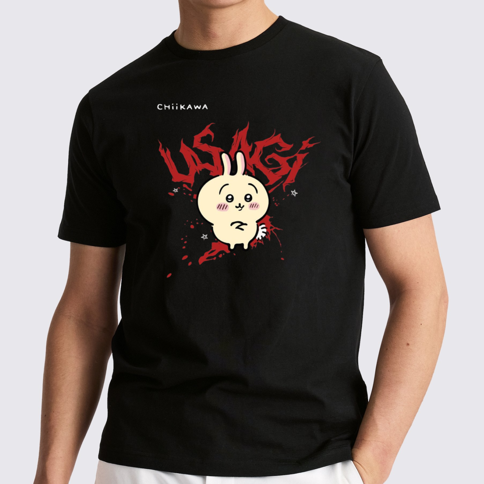 usa1